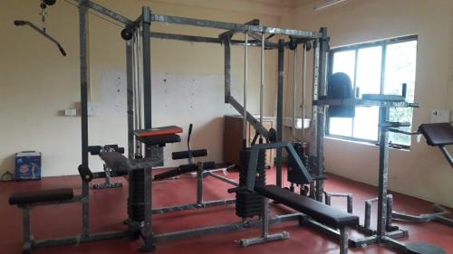gy5